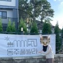 동주빌라 내 이미지