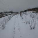 경지 태양광발전소 이미지