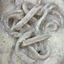 대명송어 이미지