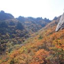 속리산 - 성남시 중원구 시민로117번길 2 | 속리산