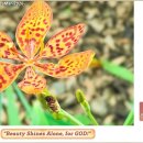 경희정원한의원 이미지