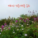 지리산거북이산장식당 Daum카페
