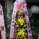 크렘에듀