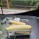 행운전자 | 강원도 춘천 행운캠핑장 8번사이트 후기(계곡캠, 개별화장실)