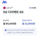 모요 이미지