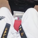 월드컵경기장후문 3가 1 | [자격증] 3급 국제태권도사범 후기