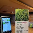 은행리 편백효소 찜질원 | [남일면] 은행리 편백효소찜질원 방문 후기