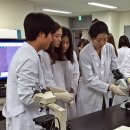 웰니스 스파 이미지