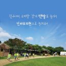 신비 뷰티샵 이미지