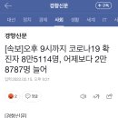 [속보]오후 9시까지 코로나19 확진자 8만5114명, 어제보다 2만8787명 늘어 이미지