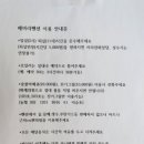 인싸포토강원 이미지