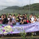 여름농장 이미지