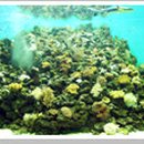 화진포해양박물관 이미지