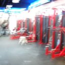 분당-297 이미지