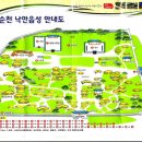 순천만 숲1 이미지