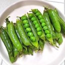 완두콩 삶기 삶는 시간 알면 쉬워요~ 이미지