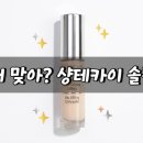 명품바이오 | 샹테카이 바이오 리프팅 컨실러 후기 - 샤넬·맥·프라다 컨실러 비교와 7시간 지속력