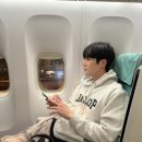 댕댕미미 네이버블로그