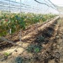 병권농장 이미지