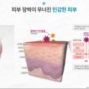 아쿠아 화장품