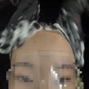 상봉역 미용실 ㅣ네이처헤어 상봉점 웨딩촬영 전 저손상 염색 후기