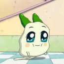 엠티PC방 이미지