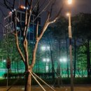 와우스포츠아카데미 이미지