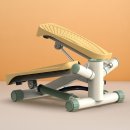 올바른 걷기 챌린지(노르딕 워킹) | [내돈내산/이고진] 걷기운동 트위스트 워킹 스텝퍼 후기!