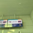 세계일주여행사주
