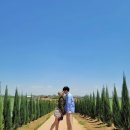 [경기도여행] 안성팜랜드 (feat.전동자전거,입장료할인,주말이용꿀팁, 동물원, )