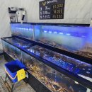 주정차093 이미지