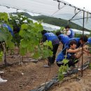 창조산업연구소 이미지