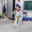 경희대태권도 이미지