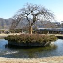 이화원 이미지