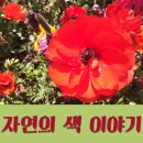 백마피오디오미술학원 | 자연에서 찾는 색의 이름 알아보기[일산백마피오디오미술학원]