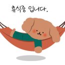 양지중학교 이미지