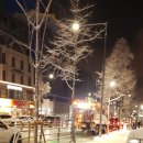 과천봉담도시고속화도로 | 올해 첫눈치고는 너무 많이 내렸네요. 봉담과천고속도로에서 최대 9시간 반 정체가 있기도..