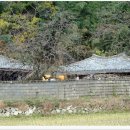 율리영해로 이미지