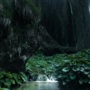 백운천계곡 이미지