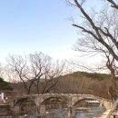 토곡오토바이 | 경남 양산 매화명소 통도사 가볼만한곳 추천 개화상황실시간