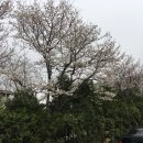 양지마을4로 이미지