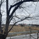 라스텔라 | [내돈내산 리뷰] 경주 황리단길 숙소 추천, 라스텔라 펜션 솔직후기