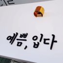 예쁨;입다