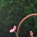 도천3길 이미지