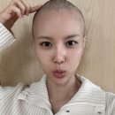 머리 밀던 날 / 다정함을 구조한 순간 이미지