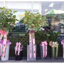 (주)금성화학 이미지