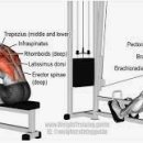 로드짐휘트니스 2호점 이미지