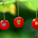 선바위농원 이미지