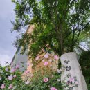 동산우성 이미지