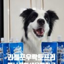 리틀포우 이미지